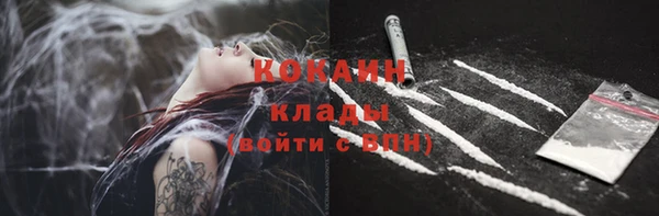 альфа пвп Дмитровск