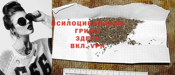альфа пвп Дмитровск